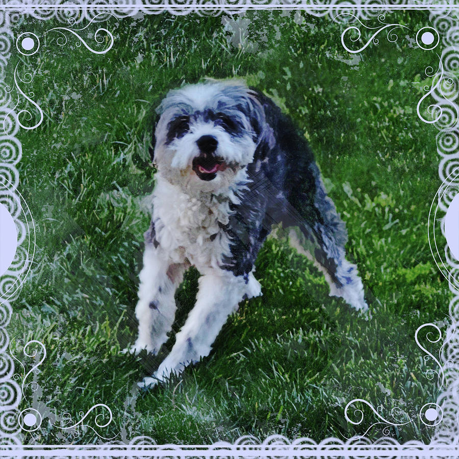 Sweet Playful Terrier Dog with Friendly Smile Digital Art by Gaby Ethington