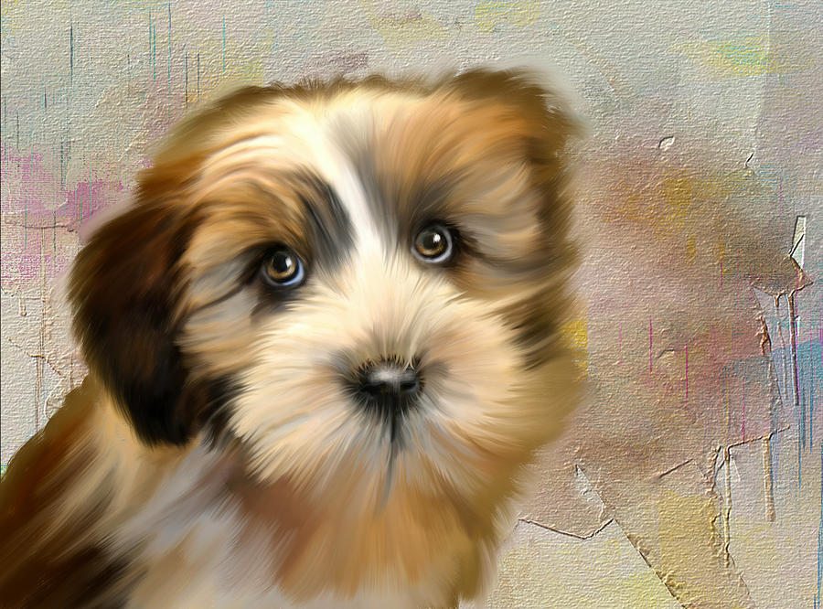 Sweet Puppy Digital Art by Mary Timman