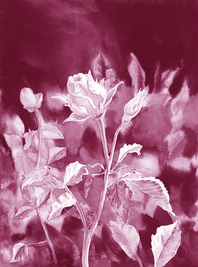 Sweet Soft Pink Rose Flower In The Garden Watercolor  Painting by Irina Sztukowski
