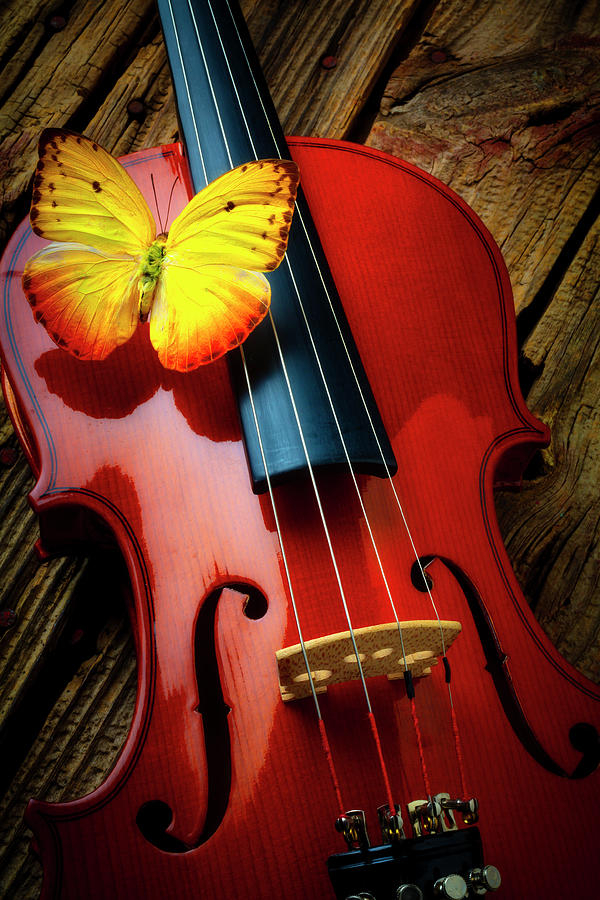 Red Gray Black Art Photo Print Butterfly Violin Wall Home Decor Picture Matted 