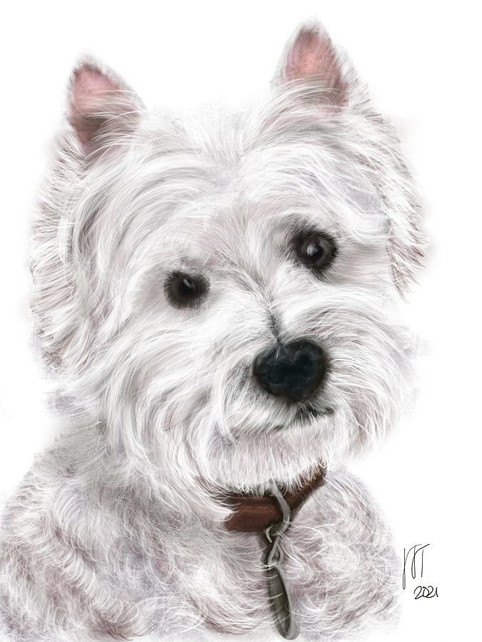 Sweet West Highland Terrier  Digital Art by Lois Ivancin Tavaf