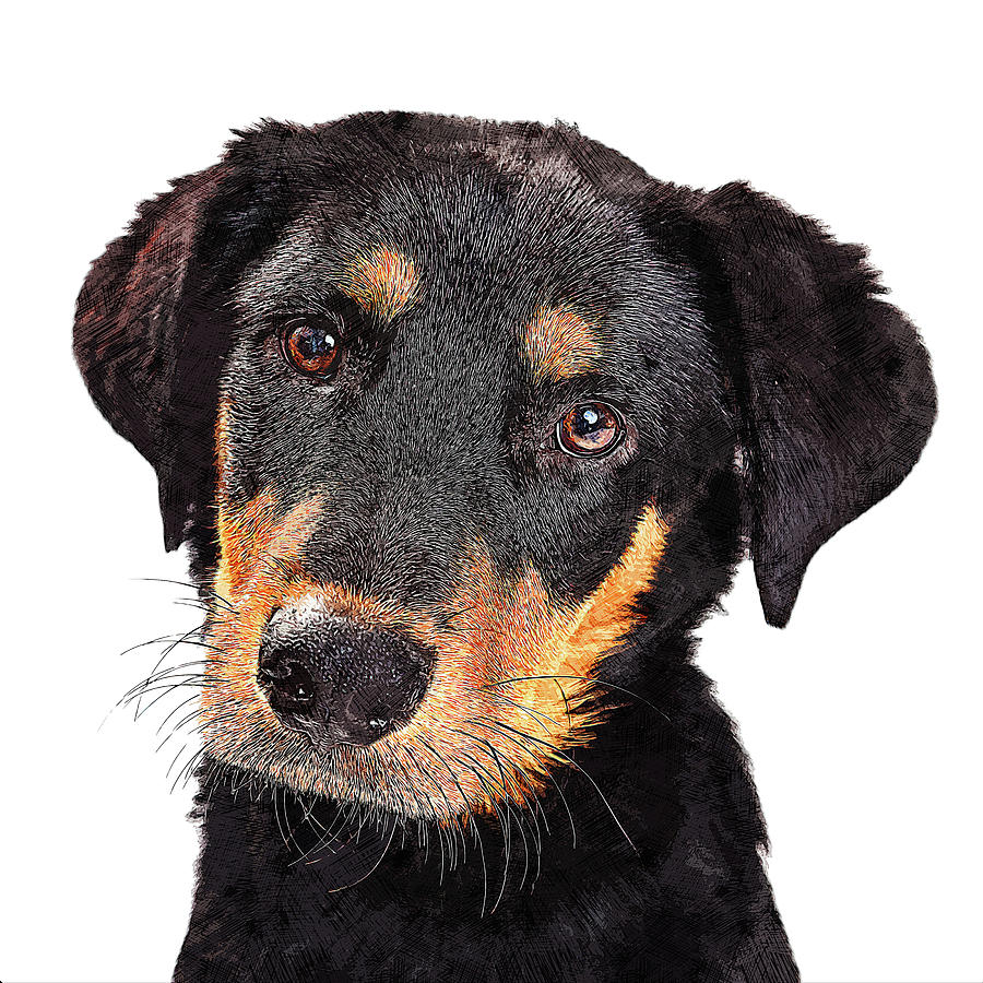 Sweetest and Cutest, Rottweiler Puppy Dog Painting by Custom Pet Portrait Art Studio