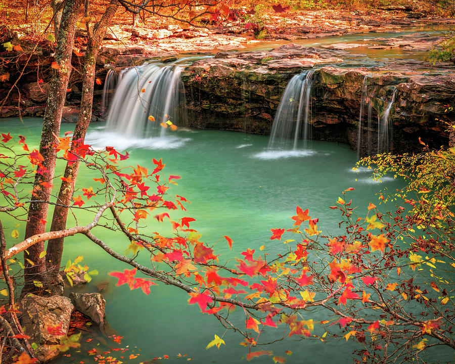 Sweetgum Leaves Of Autumn At Falling Water Falls Photograph by Gregory Ballos