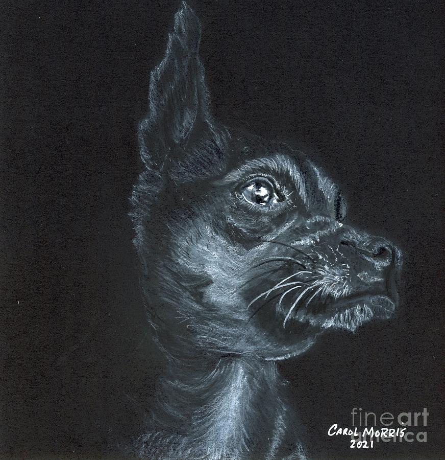 Sweetie Pie Drawing by Carol Morris Sweetie Pie Drawing by Carol Morris