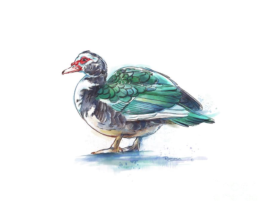 Sweetness the Muscovy Duck Digital Art by Ramona Kurten