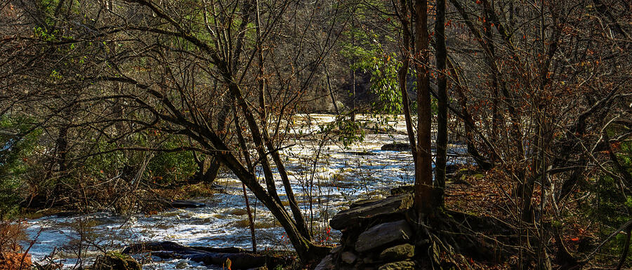 Sweetwater Creek Flowing  Photograph by Ed Williams