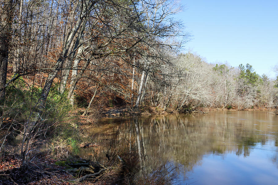 Sweetwater Creek Stillness Photograph by Ed Williams - Fine Art America