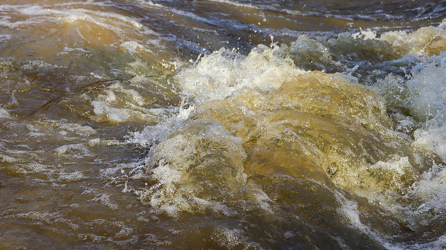 Sweetwater Creek Swirls Photograph by Ed Williams