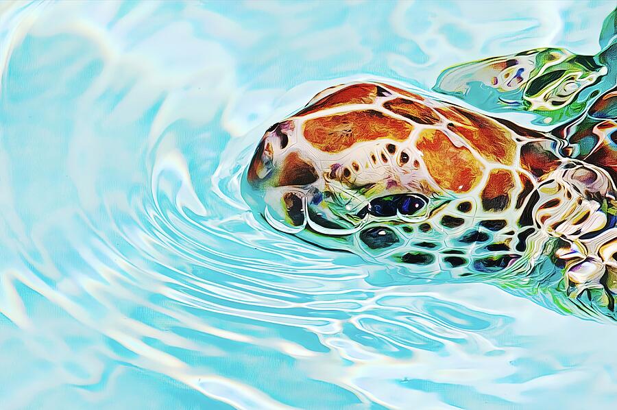 Swimming cutie Photograph by Tatiana Travelways