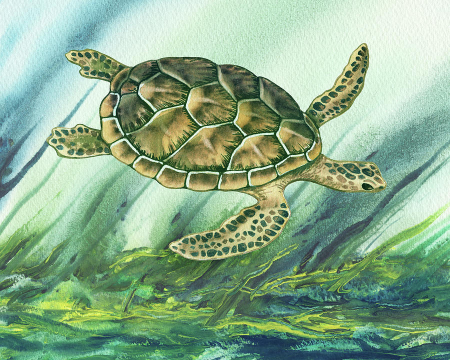 Swimming Free Giant Sea Turtle Watercolor Painting