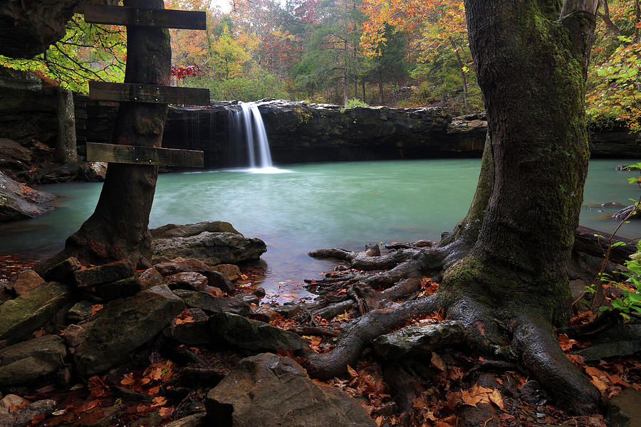swimming Hole  Photograph by William Rainey
