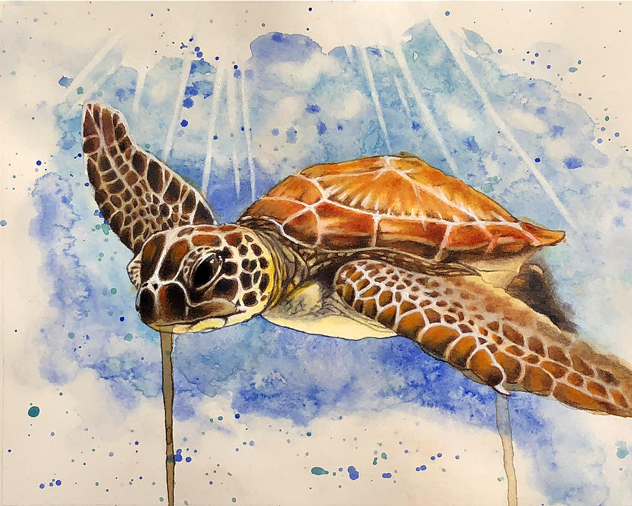 Swimming Sea Turtle Painting by Kristen Dorsey | Fine Art America