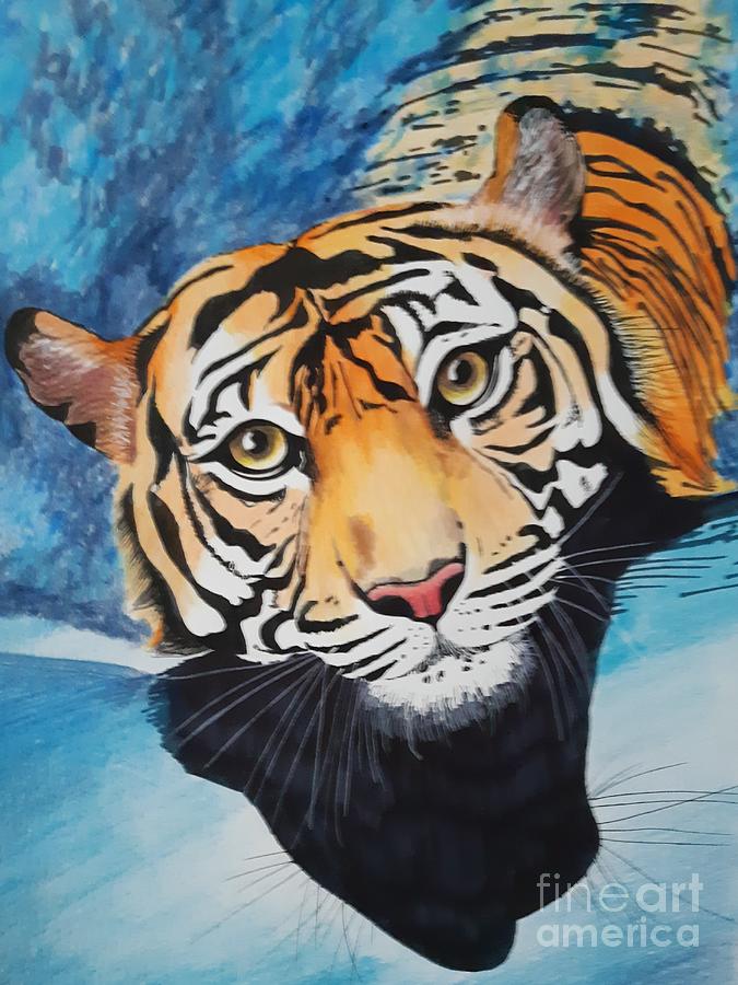 Swimming Tiger Drawing by Nicola Gray Pixels