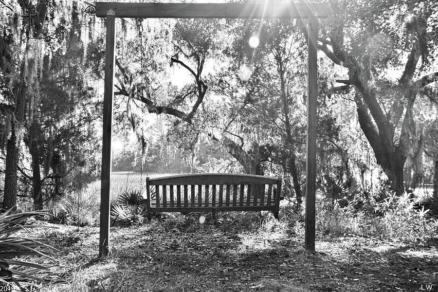 Swinging In Paradise Black And White Photograph by Lisa Wooten