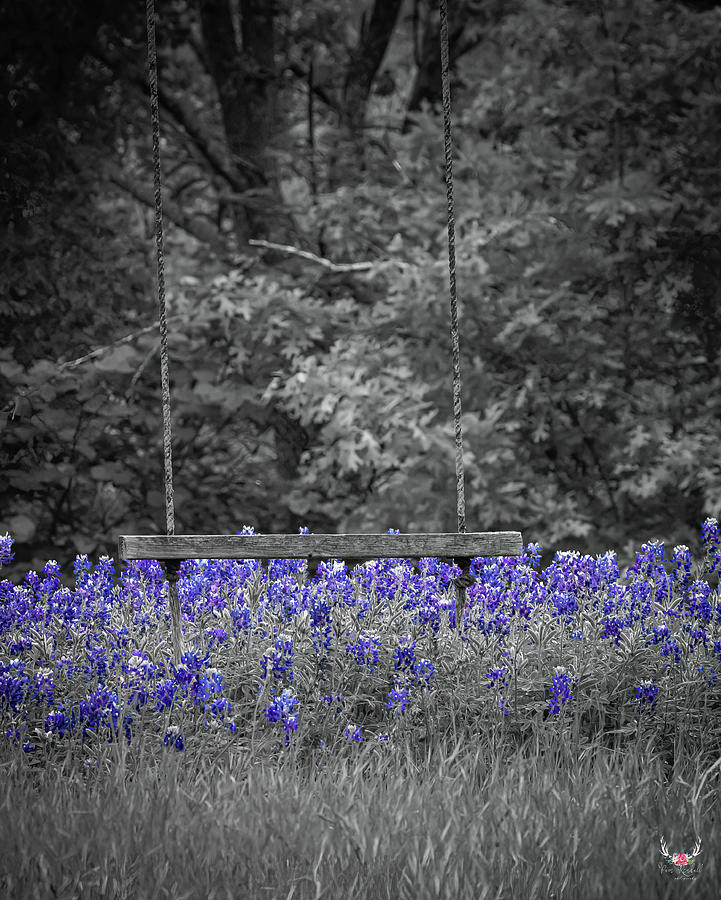 Swinging in the Bluebonnets Photograph by Pam Rendall