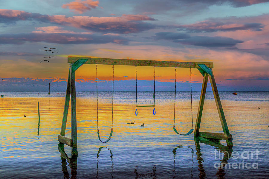 Swinging Over Water Photograph by David Zanzinger