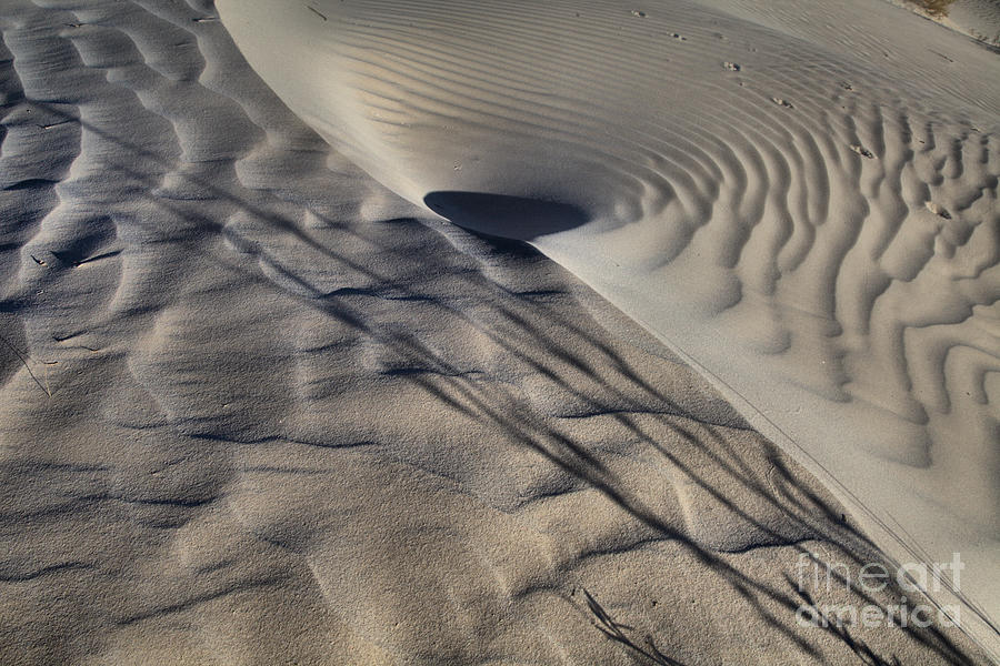 Swirl In The Guadalupe Dunes Photograph by Adam Jewell
