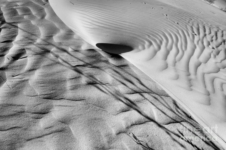 Swirl In The Guadalupe Dunes Black And White Photograph by Adam Jewell
