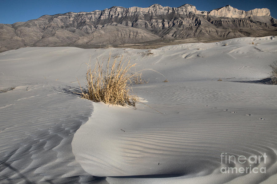 Swirl In The Guadalupe Gypsum Dunes Photograph by Adam Jewell
