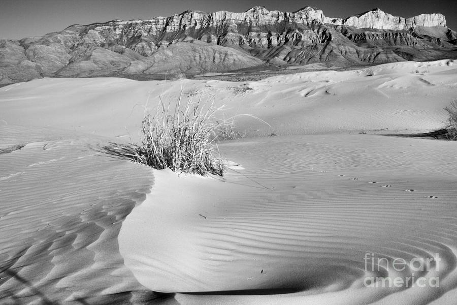 Swirl In The Guadalupe Gypsum Dunes Black And White Photograph by Adam Jewell