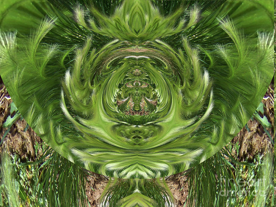 Swirling Grass Digital Art by Charles Robinson