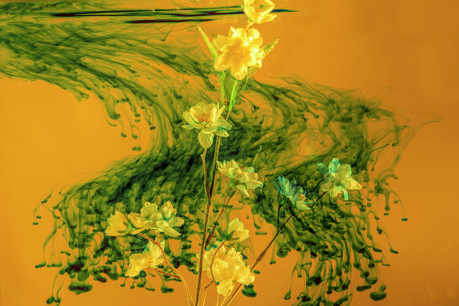 Swirling green cloud surrounding yellow flowers Photograph by Dan Friend