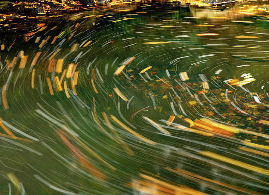 Swirling leaves on Deckers Creek Photograph by Steven Heap
