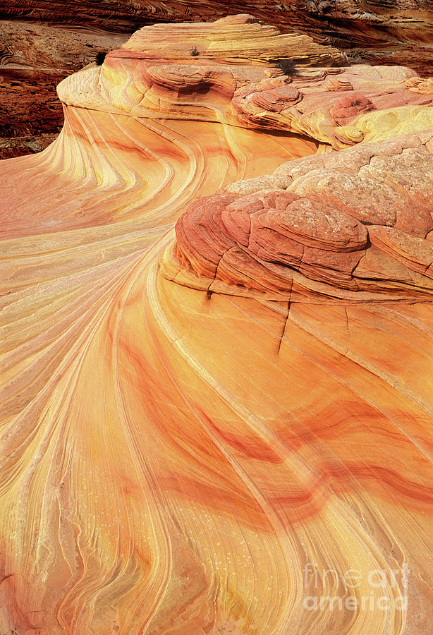 Swirls and patterns of sandstone fins in Coyote Butte, Arizona, USA Photograph by Neale And Judith Clark