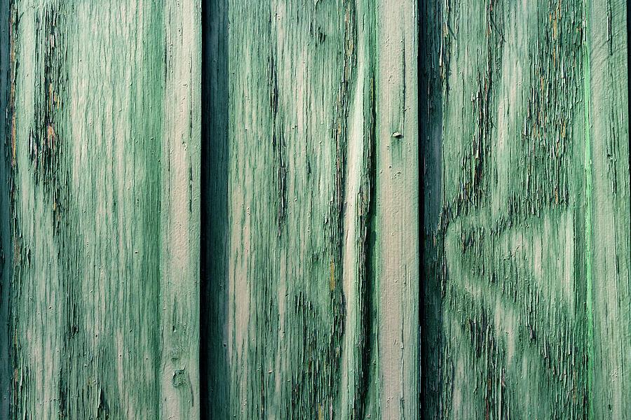 Swirls In Green Photograph