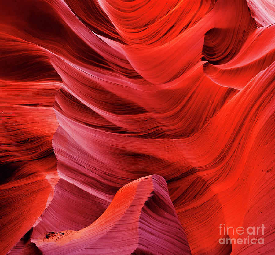 Swirls of eroded sandstone rock, Lower Antelope Canyon, Page, Arizona Photograph by Neale And Judith Clark