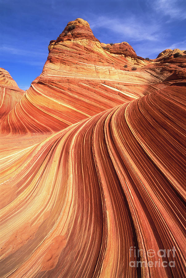 Swirls of sandstone on the Wave, Coyote Butte, Arizona Photograph by Neale And Judith Clark