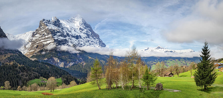 Swiss Alps Photograph by Elvira Peretsman
