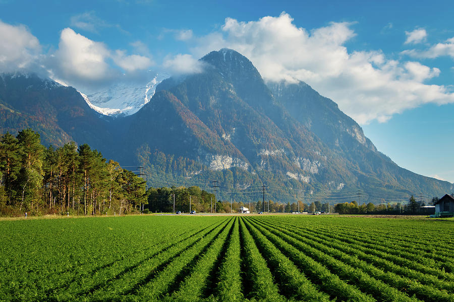 Swiss Mountains and Farmland Photograph by Rick Deacon