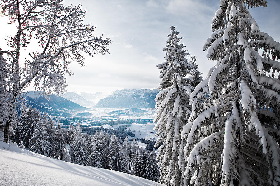 Swiss winter landscape  Photograph by Tobias Gaulke