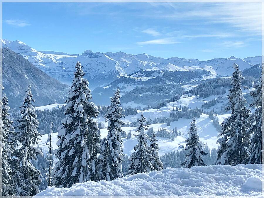 Swiss Winter Wonderland Photograph by Barbara Zahno