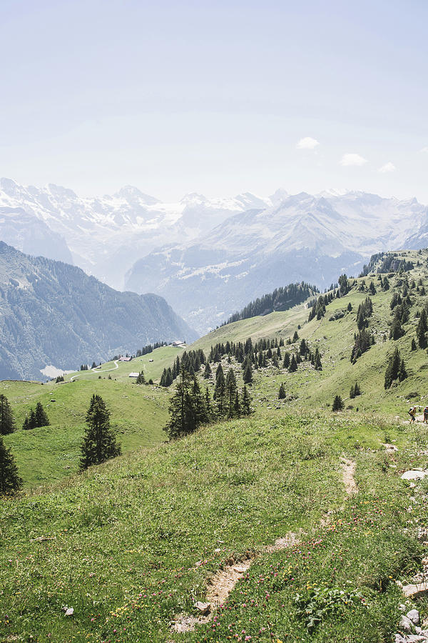 Switzerland Alps - Green Summer Landscape Photography Photograph by Pati Photography