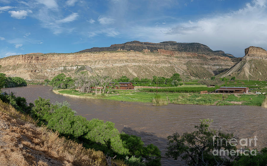 Swollen Colorado River at Palisade Book Cliffs Photograph by Daniel Hebard
