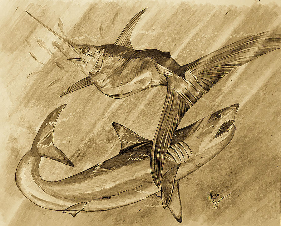 SWORDFISH AND MAKO SHARK by Mark Ray SWORDFISH AND MAKO SHARK by Mark Ray