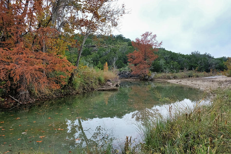 Sycamore Creek in November Photograph by Cathy P Jones - Fine Art America