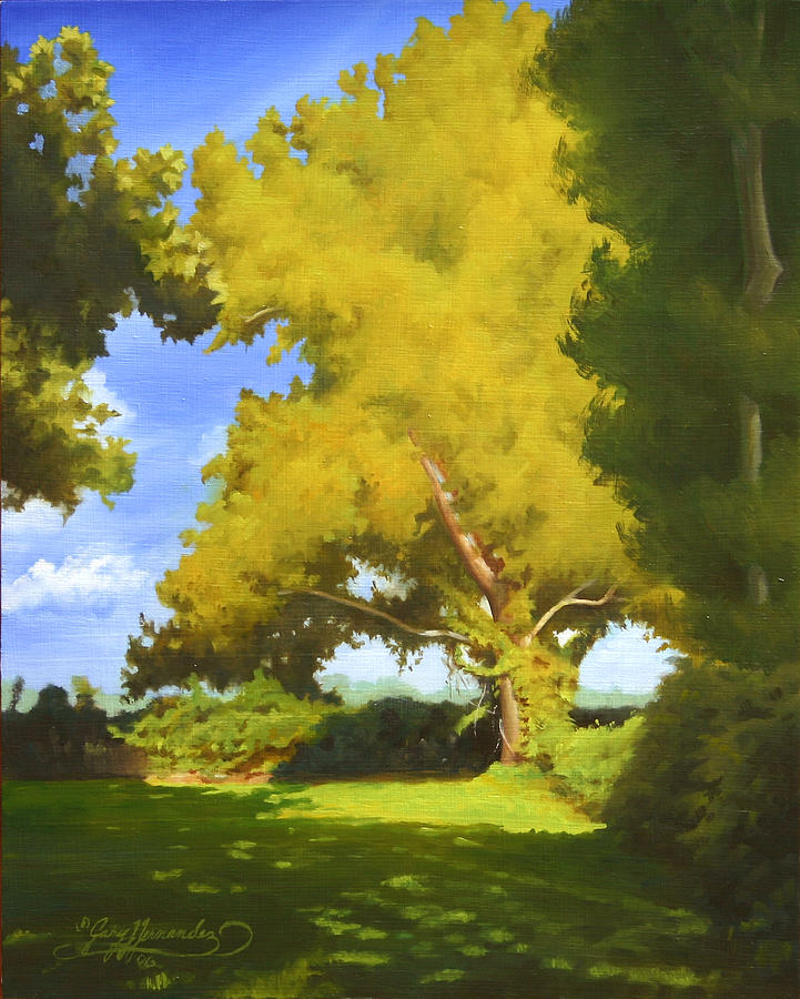 Sycamore Painting by Gary  Hernandez