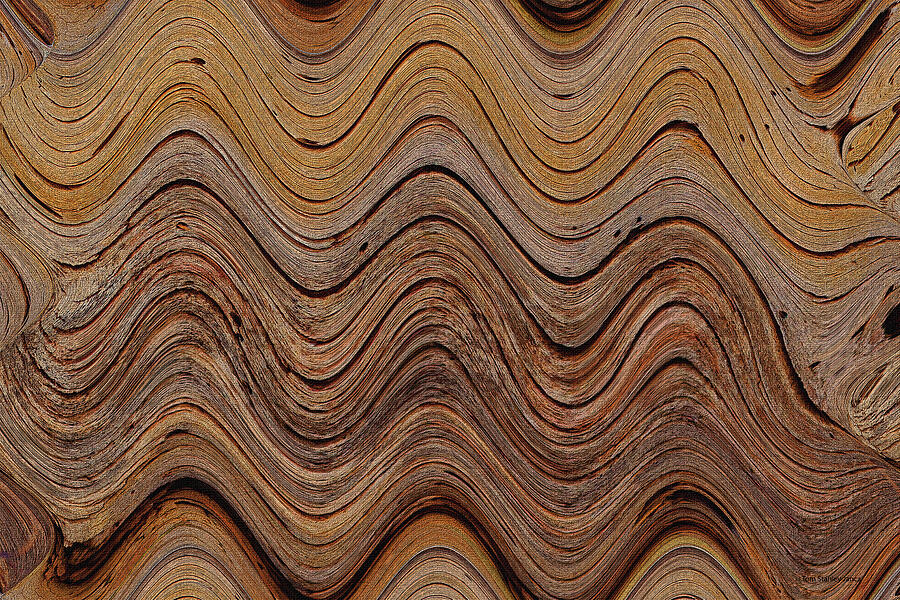 Sycamore Tree Inner Wood Digital Art by Tom Janca Sycamore Tree Inner Wood Digital Art by Tom Janca