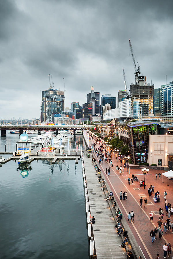 Sydney CBD and Darling Harbor Photograph by LeoPatrizi