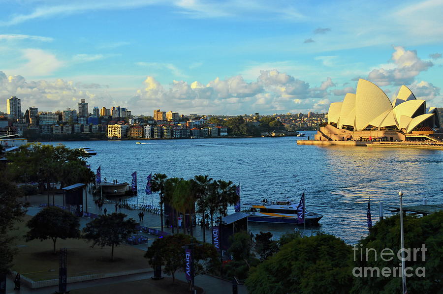 Sydney Harbour and Opera House Rear View Photograph by Diana Mary Sharpton