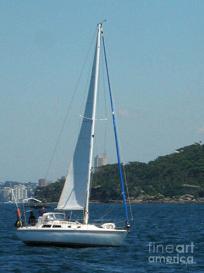 Sydney Harbour Yacht Photograph by Leanne Seymour
