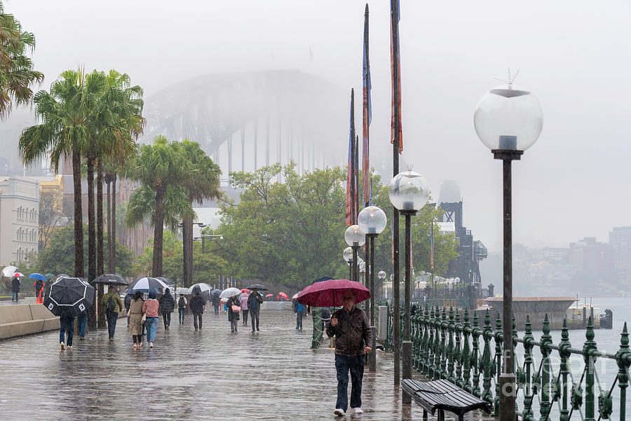 Sydney in the rain Photograph by Stephen Dwyer Pixels