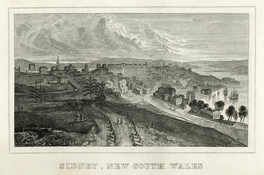 Sydney, New South Wales (early 19th century engraving) Drawing by Whitemay