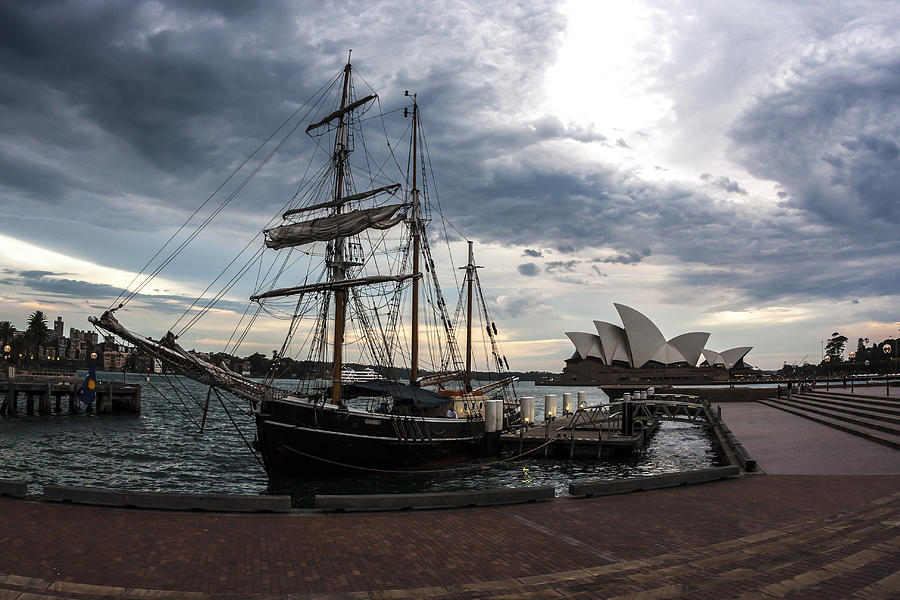 Sydney Opera House. Australia. Photograph by VittoriaChe
