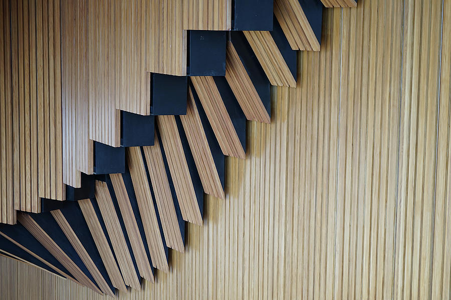 Sydney Opera House - Internal Study 1 Photograph by Richard Reeve