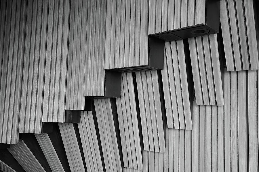 Sydney Opera House - Internal Study 5 Photograph by Richard Reeve