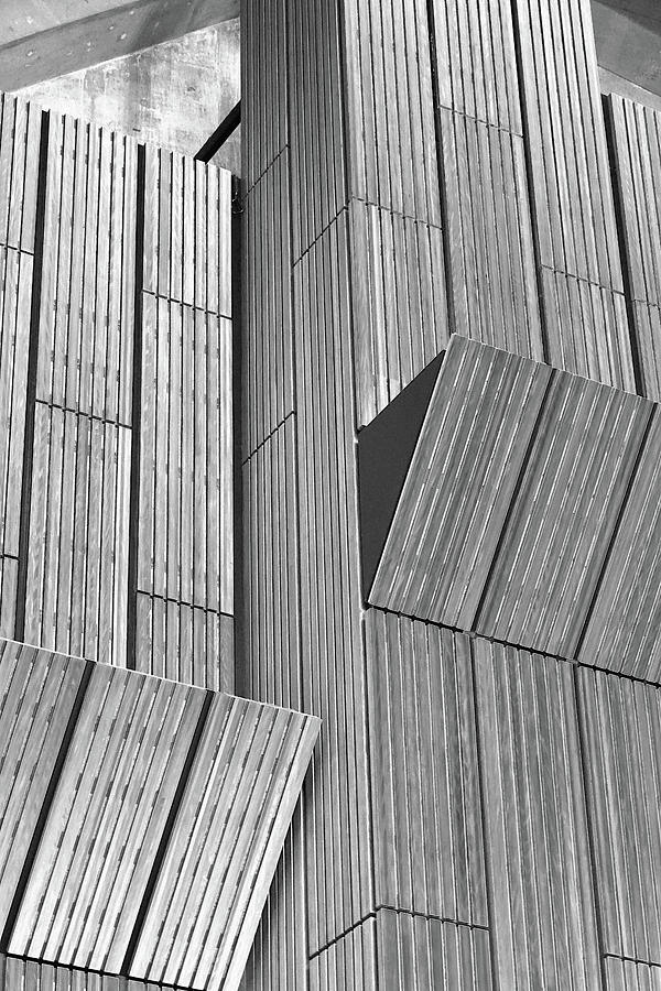 Sydney Opera House - Internal Study 7 Photograph by Richard Reeve